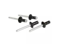 Ford -W706495-S417 Rivet