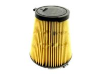 Ford AR3Z-9601-A Air Cleaner Element Assembly Ford AR3Z-9601-A Air Cleaner Element Assembly