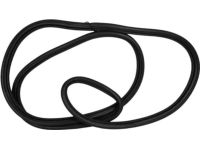 Ford FT4Z-58404A06-B Weatherstrip