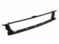 Ford LC3Z-8419-AA Moulding