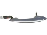 Ford HP5Z-5426604-AAPTM Door Handle Assembly Outer