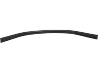 Ford BK3Z-1520519-B Weatherstrip Assembly - Door Opening