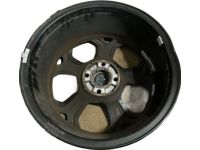 Ford GN1Z-1007-G Wheel Assembly  