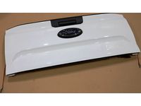 Ford N1WZ-2640110-D Tailgate Assembly Less Hinges  