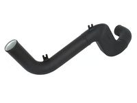 Ford G1FZ-6C646-A Air Duct