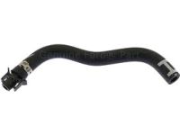Ford DV6Z-8075-C Hose - Supply Tank To Radiator
