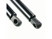 Ford 6L1Z-78406A10-AA Gas Lift Assembly