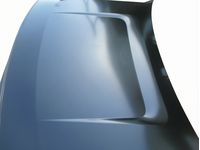 Ford 9L3Z-16612-A Hood Assembly