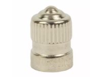 Ford DR3Z-1A163-A Cap - Valve