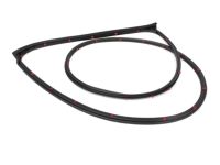 Ford NZ6Z-6025324-A WEATHERSTRIP