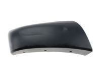 Ford BC3Z-16039-BPTM Moulding - Bumper Bar