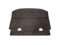 Ford DM5Z-5813046-AC Carpet - Floor - Loading Compartment