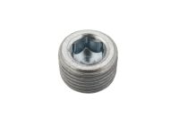 Ford -W707919-S309 Plug - Threaded