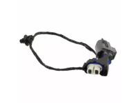 Ford GN1Z-15A211-A Wire Assembly - Fog Lamp