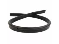 Ford BC3Z-2502824-A Seal