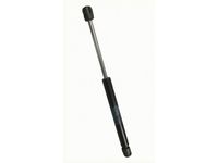 Ford 6W7Z-16C826-AB Gas Lift Assembly