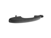 Ford LJ6Z-7822404-AA Door Handle Assembly Outer