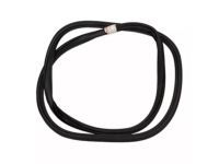 Ford KL3Z-16253A10-A Door Opening Weatherstrip Assembly