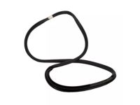 Ford KL3Z-16253A10-A Weatherstrip Assembly - Door Opening