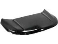 Ford FT4Z-16612-A Hood Assembly