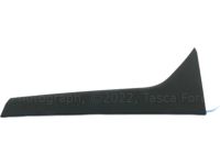 Ford DT1Z-1720938-AA Moulding - Door Outside