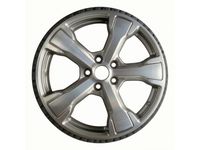 Ford GJ5Z-1007-B Wheel Assembly