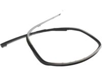 Ford 5C3Z-2625766-AA Glass Run Assembly