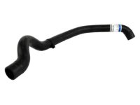 Ford CK4Z-8260-F Radiator Hose