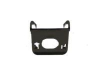 Ford FL3Z-13489-A Door - Rear Lamp Access