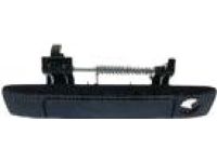 Ford AB3Z-2143400-AC HANDLE ASY