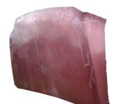 Ford Excursion Hood - 4C3Z-16612-AA Hood Assembly