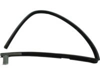 Ford 8L5Z-1021546-A Door Glass Run