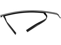 Ford HS7Z-5421596-A Door Glass Run