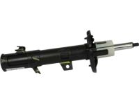 Ford GN1Z-18124-AQ Shock Absorber Assembly