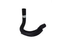 Ford 1C2Z-8260-EB Radiator Hose