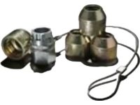 Ford F5TZ-1A043-A Wheel Locking Kit