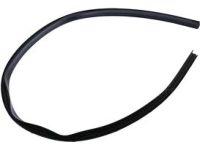 Ford CK4Z-1551400-G WEATHERSTRIP