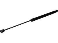 Ford 2M5Z-74406A10-AB Lift Assembly - Gas