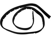 Ford BB5Z-16B990-A Weatherstrip