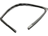 Ford BB5Z-7821596-B Door Glass Run