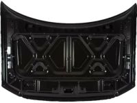 Ford 4L3Z-16612-AA Hood Assembly Ford 4L3Z-16612-AA Hood Assembly