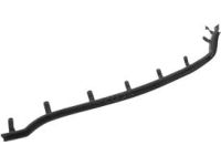 Ford DP5Z-5425556-AA Door Outside Moulding