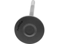 Ford HL3Z-6505-C Exhaust Valve