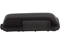 Ford FL3Z-1522404-AJ Door Handle Assembly Outer