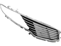 Ford DP5Z-8200-BC Radiator Grille Assembly