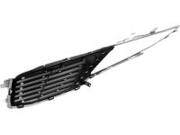 Ford DP5Z-8200-BC Radiator Grille Assembly