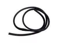 Ford AM5Z-5820530-D Weatherstrip