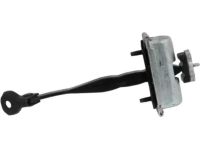 Ford EJ7Z-7823552-A Door Check Assembly