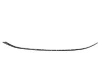 Ford GD9Z-9951692-A Moulding Roof Drip Rail Finisher Ford GD9Z-9951692-A Moulding Roof Drip Rail Finisher