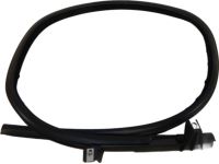 Ford YL8Z-7825767-AA Glass Run Assembly